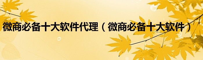 微商必备十大软件代理(微商必备十大软件)