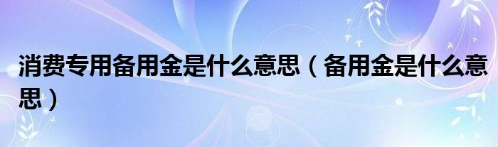 消费专用备用金是什么意思(备用金是什么意思)