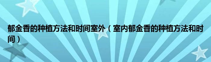 郁金香的种植方法和时间室外(室内郁金香的种植方法和时间)