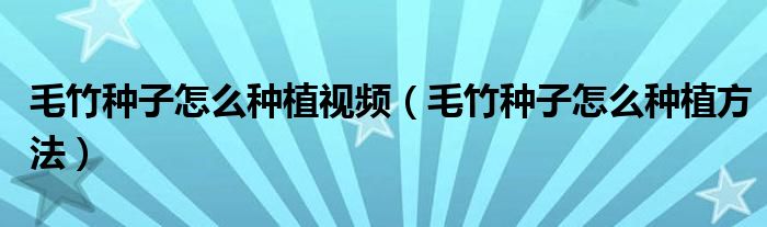 毛竹种子怎么种植视频(毛竹种子怎么种植方法)