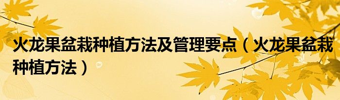 火龙果盆栽种植方法及管理要点(火龙果盆栽种植方法)