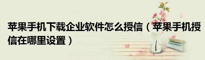 苹果手机下载企业软件怎么授信(苹果手机授信在哪里设置)