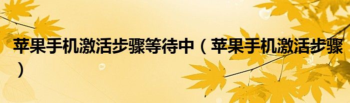苹果手机激活步骤等待中(苹果手机激活步骤)