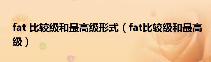 fat 比较级和最高级形式(fat比较级和最高级)
