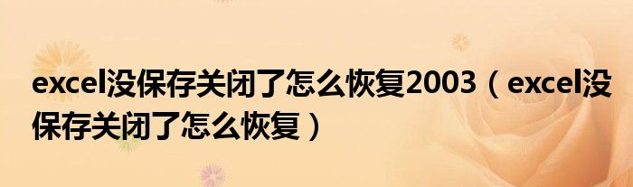 excel没保存关闭了怎么恢复2003(excel没保存关闭了怎么恢复)