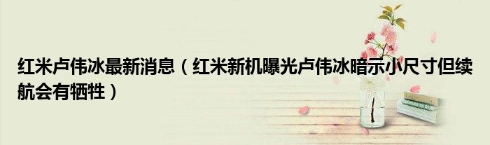 红米卢伟冰最新消息(红米新机曝光卢伟冰暗示小尺寸但续航会有牺牲)