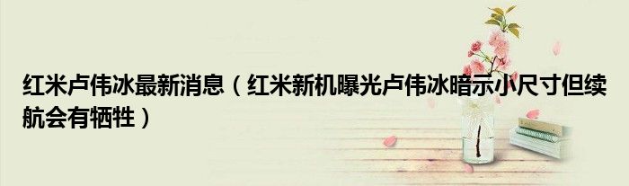 红米卢伟冰最新消息（红米新机曝光卢伟冰暗示小尺寸但续航会有牺牲）