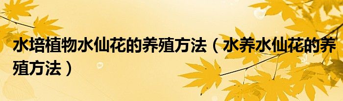 水培植物水仙花的养殖方法(水养水仙花的养殖方法)