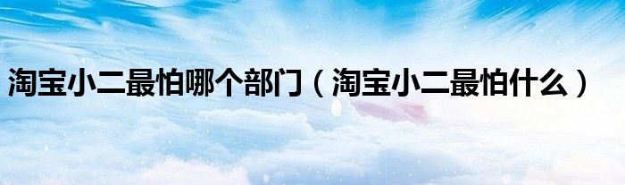 淘宝小二最怕哪个部门(淘宝小二最怕什么)