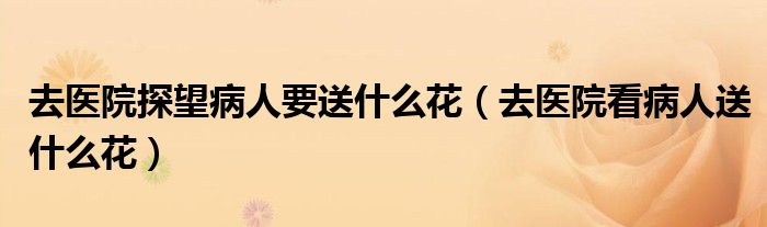 去医院探望病人要送什么花(去医院看病人送什么花)