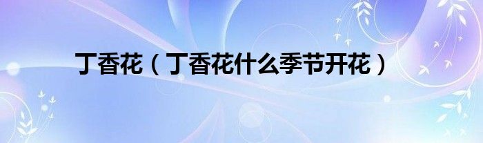 丁香花(丁香花什么季节开花)