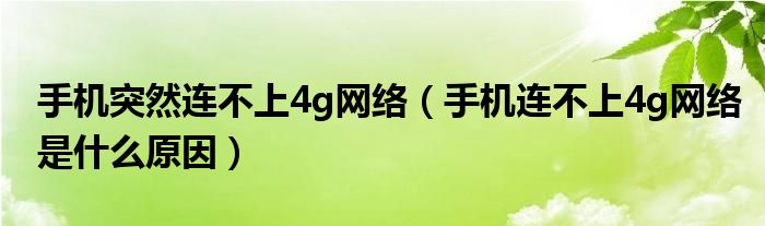 手机突然连不上4g网络（手机连不上4g网络是什么原因）