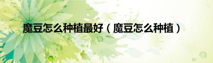 魔豆怎么种植最好(魔豆怎么种植)