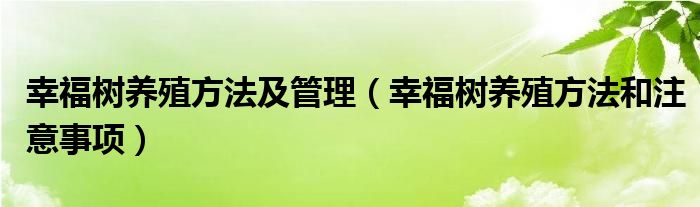 幸福树养殖方法及管理（幸福树养殖方法和注意事项）