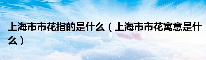 上海市市花指的是什么(上海市市花寓意是什么)