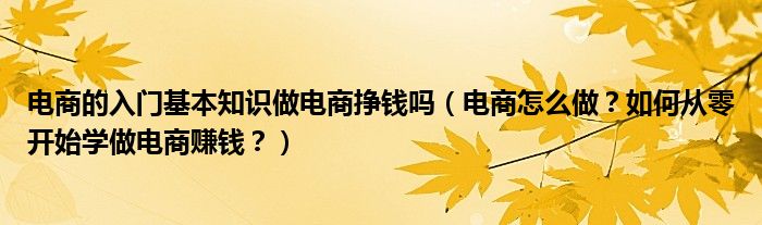 电商的入门基本知识做电商挣钱吗（电商怎么做？如何从零开始学做电商赚钱？）