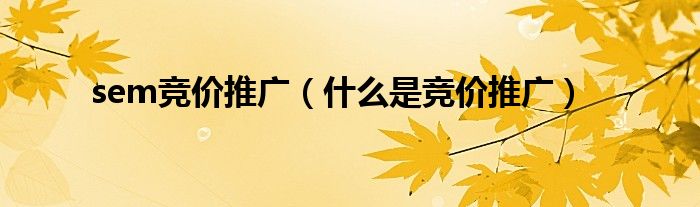 sem竞价推广(什么是竞价推广)