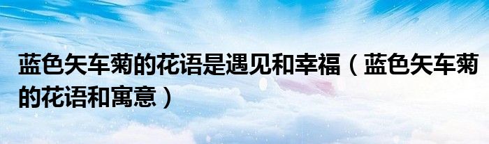 蓝色矢车菊的花语是遇见和幸福(蓝色矢车菊的花语和寓意)