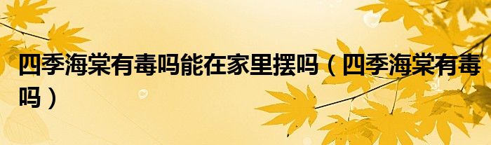 四季海棠有毒吗能在家里摆吗(四季海棠有毒吗)