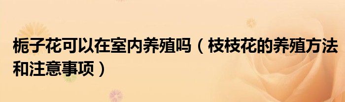栀子花可以在室内养殖吗(枝枝花的养殖方法和注意事项)
