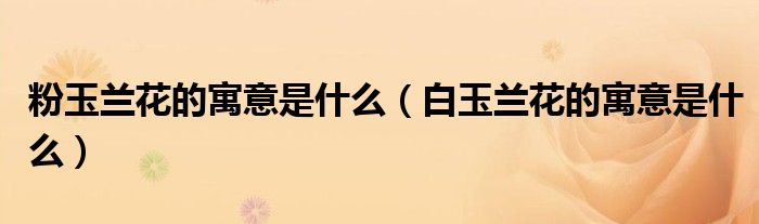 粉玉兰花的寓意是什么(白玉兰花的寓意是什么)