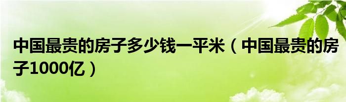 中国最贵的房子多少钱一平米(中国最贵的房子1000亿)