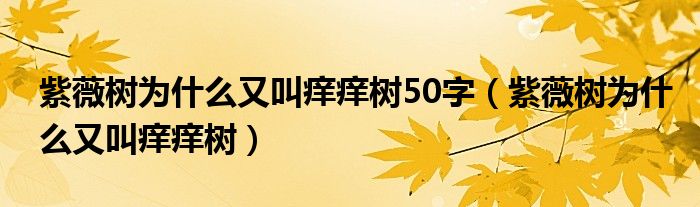 紫薇树为什么又叫痒痒树50字(紫薇树为什么又叫痒痒树)