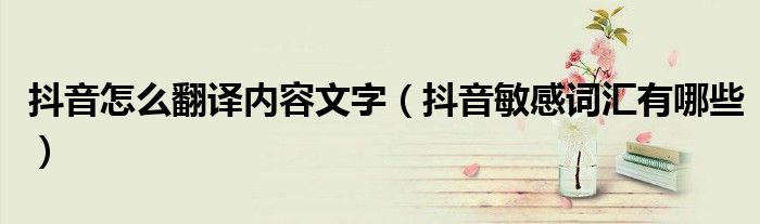 抖音怎么翻译内容文字(抖音敏感词汇有哪些)