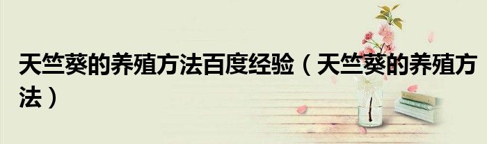 天竺葵的养殖方法百度经验(天竺葵的养殖方法)