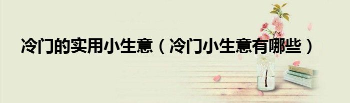 冷门的实用小生意(冷门小生意有哪些)