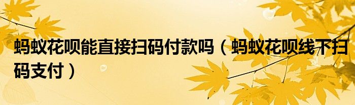蚂蚁花呗能直接扫码付款吗(蚂蚁花呗线下扫码支付)