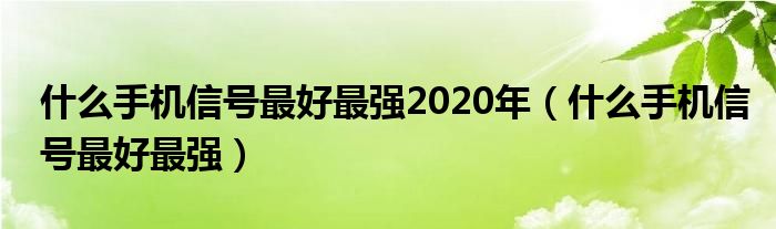 什么手机信号最好最强2020年(什么手机信号最好最强)