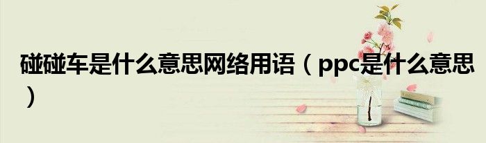 碰碰车是什么意思网络用语(ppc是什么意思)