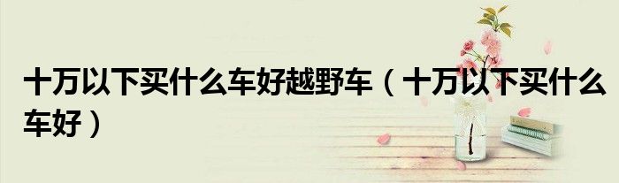十万以下买什么车好越野车(十万以下买什么车好)