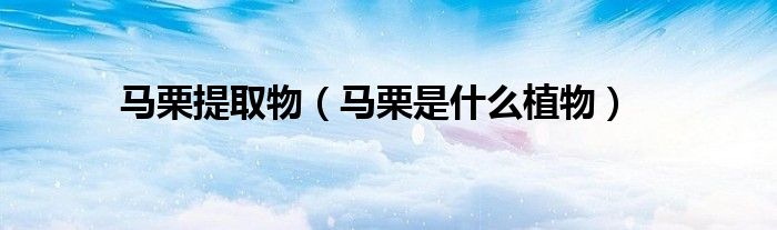 马栗提取物(马栗是什么植物)