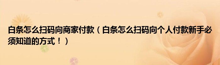 白条怎么扫码向商家付款(白条怎么扫码向个人付款新手必须知道的方式!)