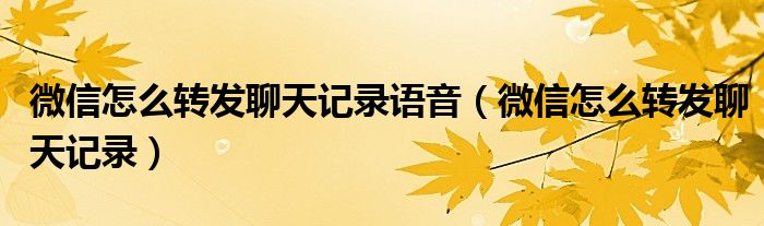 微信怎么转发聊天记录语音(微信怎么转发聊天记录)