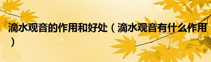 滴水观音的作用和好处(滴水观音有什么作用)