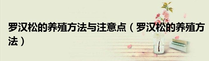 罗汉松的养殖方法与注意点(罗汉松的养殖方法)