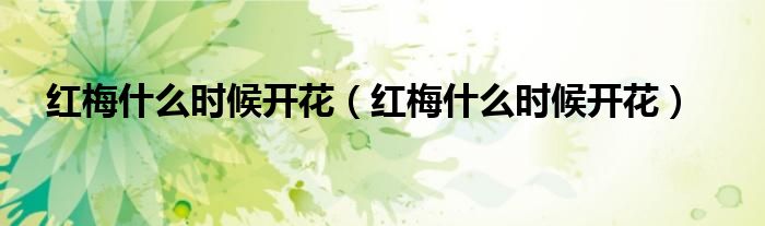 红梅什么时候开花(红梅什么时候开花)