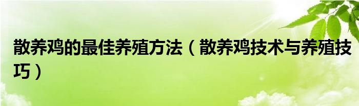 散养鸡的最佳养殖方法(散养鸡技术与养殖技巧)