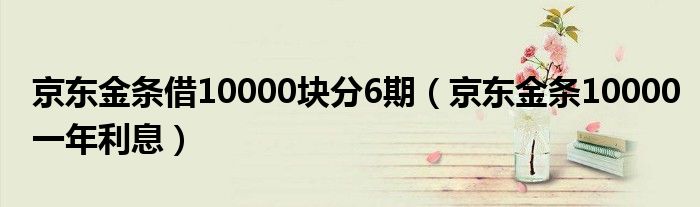 京东金条借10000块分6期(京东金条10000一年利息)