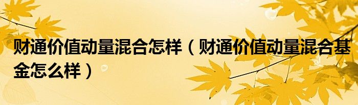 财通价值动量混合怎样(财通价值动量混合基金怎么样)