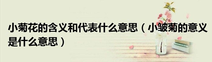 小菊花的含义和代表什么意思(小皱菊的意义是什么意思)