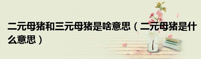 二元母猪和三元母猪是啥意思(二元母猪是什么意思)