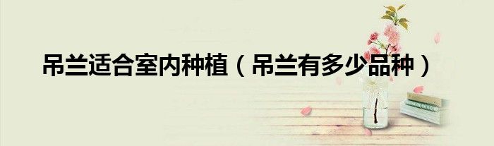 吊兰适合室内种植(吊兰有多少品种)