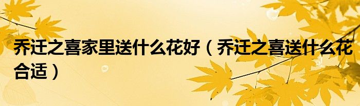 乔迁之喜家里送什么花好(乔迁之喜送什么花合适)