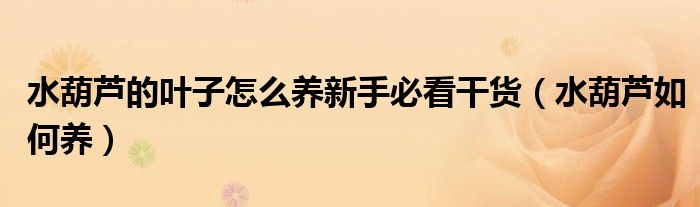 水葫芦的叶子怎么养新手必看干货(水葫芦如何养)