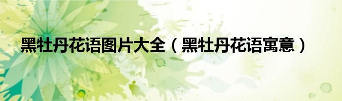 黑牡丹花语图片大全(黑牡丹花语寓意)