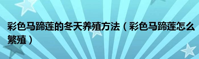 彩色马蹄莲的冬天养殖方法(彩色马蹄莲怎么繁殖)